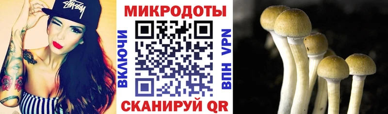 Купить закладки  Александровск  Галлюциногенные грибы Magic Shrooms 
